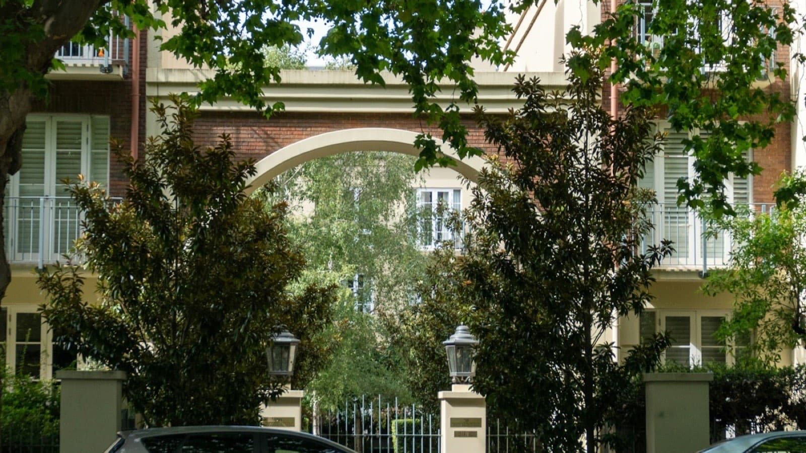 Cars parked along a leafy residential street