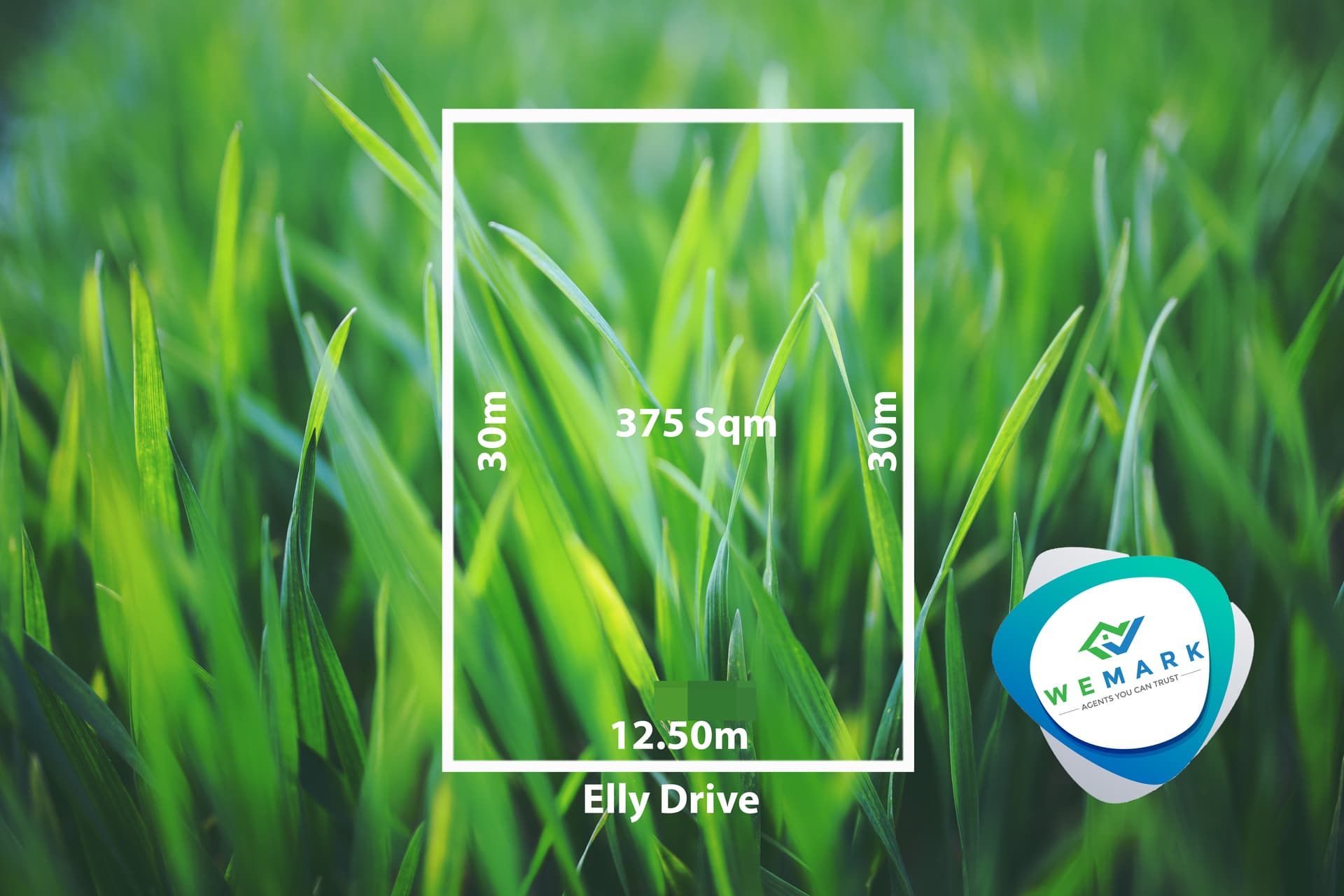 Elly Drive, MUNNO PARA WEST, SA 5115