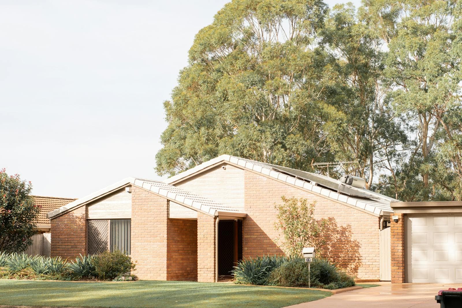 Placeholder photograph of an established Australian suburban street