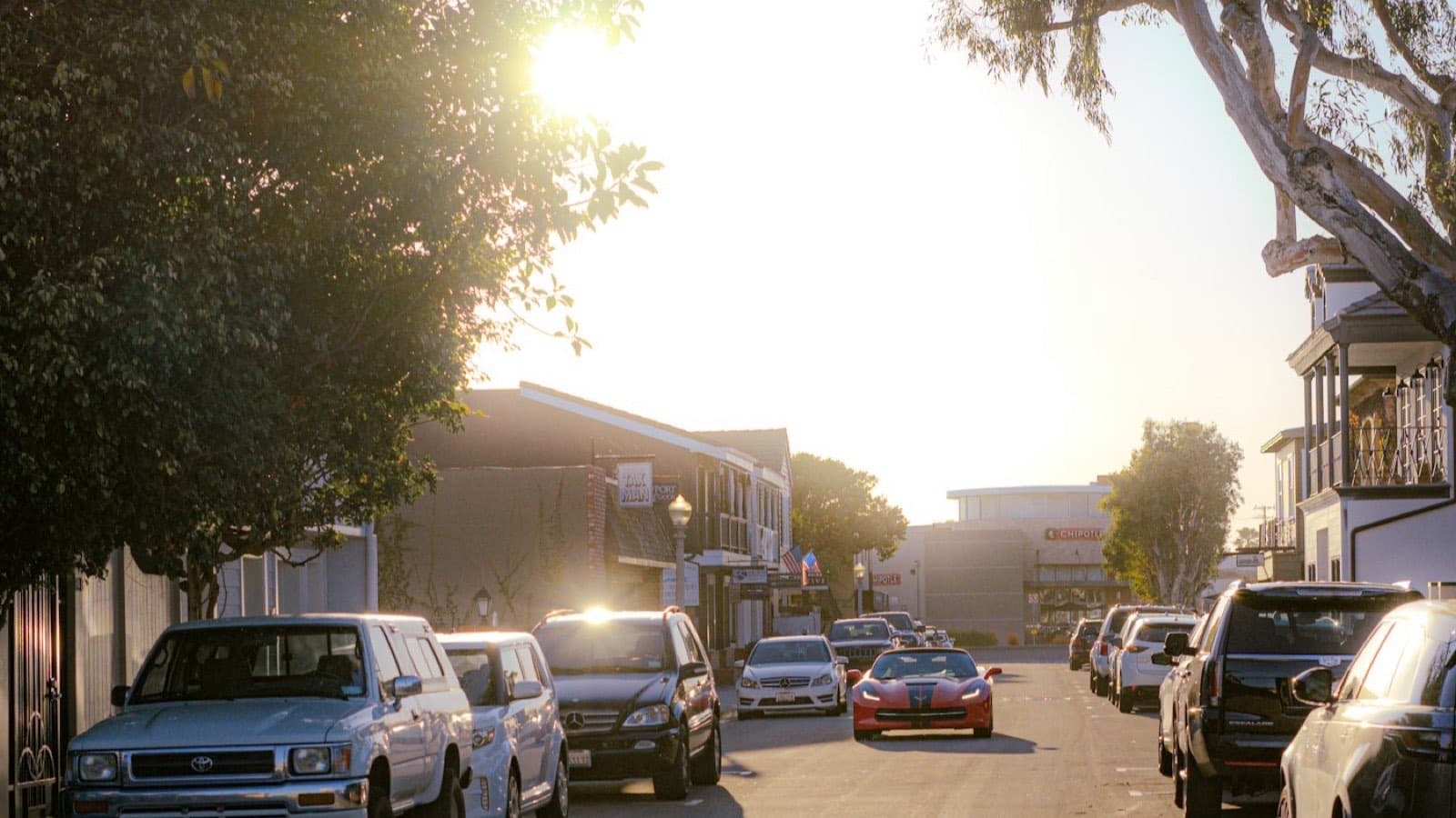 Cars parked along a street of trees at dusk