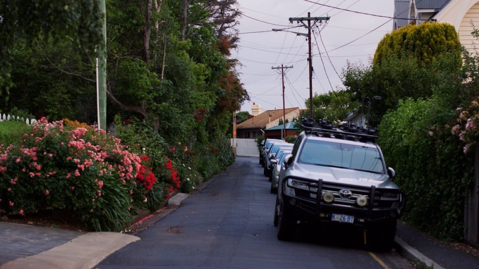 A car parked at the kerb on a tree-lined street