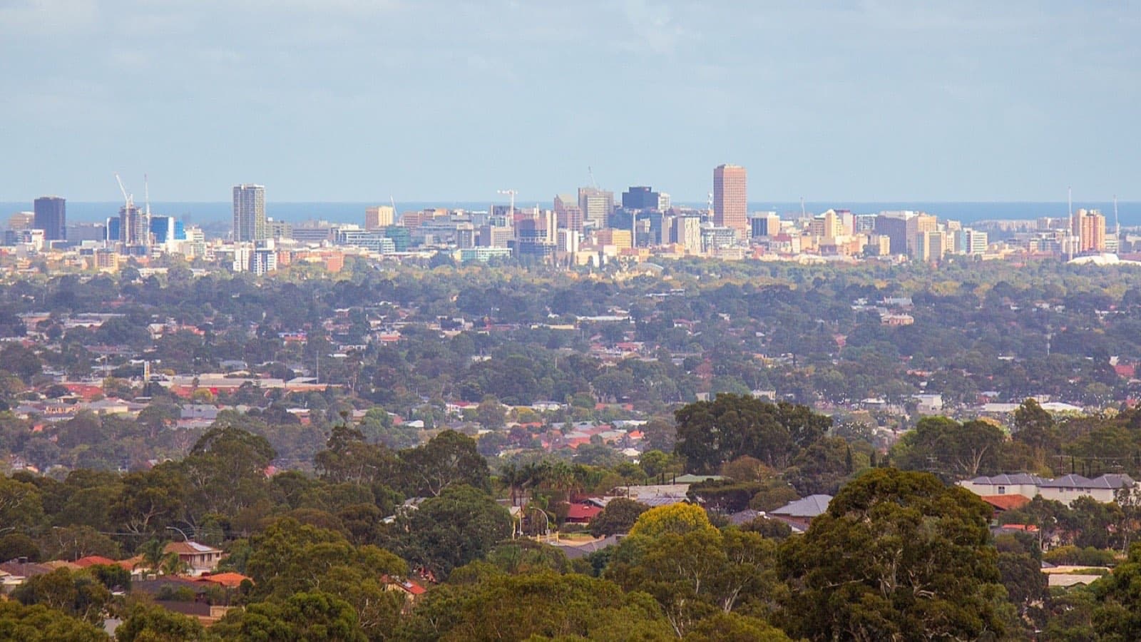 A view across rooftops and trees toward a city on the plain